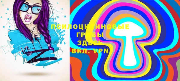 молекула духа Горнозаводск