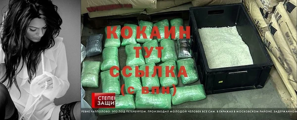 прущая мука Горняк