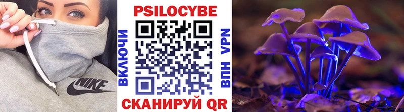 Псилоцибиновые грибы Cubensis  продажа наркотиков  Звенигород 